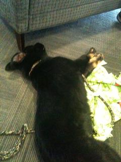 kathys iphone 306.JPG